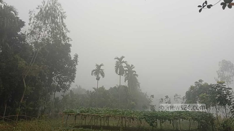 কুয়াশা মুড়িয়ে শীত নেমেছে পঞ্চগড়ে