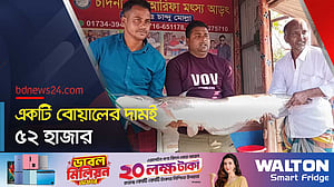 এক বোয়ালের ওজনই ১৮ কেজি