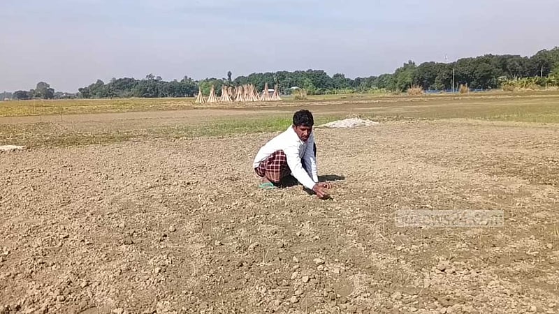 প্রণোদনার বীজে গজায়নি চারা, চাষিদের মাথায় হাত