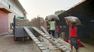 কাঁচামাল সংরক্ষণে ১০০ হিমাগার নির্মাণ হচ্ছে: উপদেষ্টা