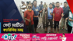 সেন্ট মার্টিনে ধরা পড়েছে ক্যারিবীয় অঞ্চলের ঢেঁকি মাছ