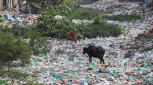 মৃত শুভাঢ্যা খাল