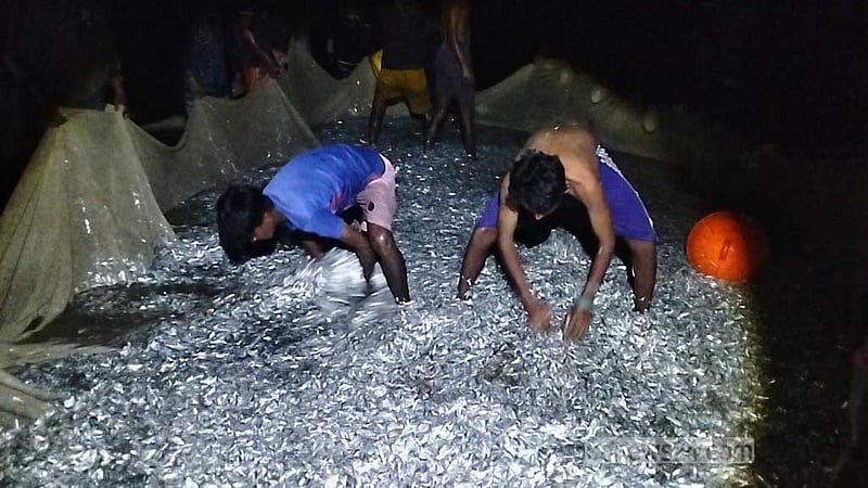 এক জালেই ১২০ মণ মাছ