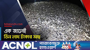 সাগরে প্রচুর মাছ, খুশি জেলেরা