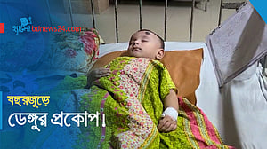 জলবায়ু পরিবর্তনে বাড়ছে ডেঙ্গুর ঝুঁকি