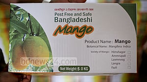 বাংলাদেশের আম নেবে চীন, মিলেছে অনুমতি