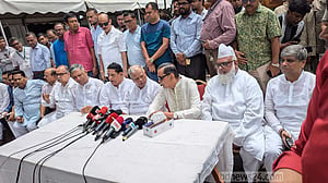 রাষ্ট্রীয় স্থাপনায় হামলা করে দেশকে ‘অকার্যকর’ করতে চেয়েছিল: আমু