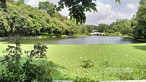 বোটানিক্যাল গার্ডেনের টিকেট মূল্য নিয়ে বিভ্রান্তি, ক্ষোভ