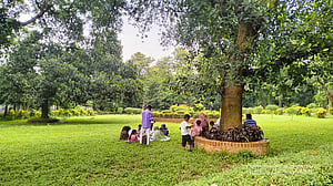 বোটানিক্যাল গার্ডেনে চালু হল ই-টিকিটিং