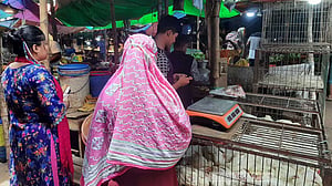 মুরগির বাজারে নিম্নগতি, বাচ্চার দরেও স্বস্তি