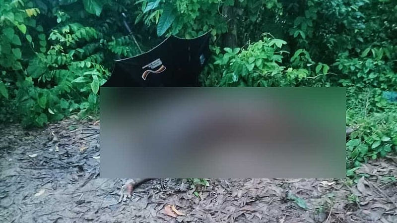 কক্সবাজারের পাহাড়ি এলাকায় রোহিঙ্গার অর্ধগলিত লাশ
