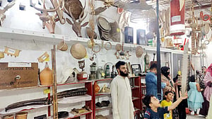 ‘কুমিল্লা জাদুঘর’: দুর্লভ জিনিসে ঠাসা এক সংগ্রহশালা