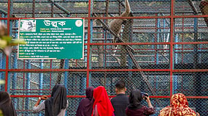 জাতীয় চিড়িয়াখানা: বিনোদনের চাপে বিপন্ন খাঁচাবাসী
