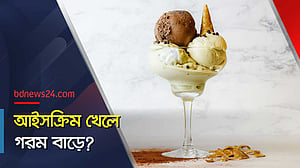 গরমে আইসক্রিম খেতে বারণ করছেন পুষ্টিবিদ