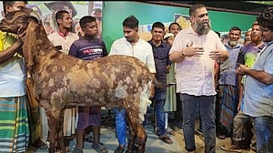 ছাগলকাণ্ড: সাদিক অ্যাগ্রোর বিরুদ্ধে মামলা, আসামি প্রাণিসম্পদের ৫ কর্মকর্তাও