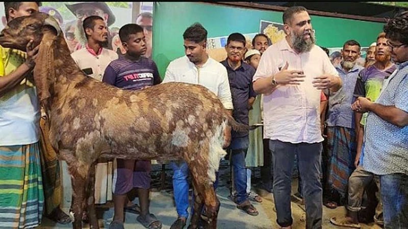 ছাগলকাণ্ড: সাদিক অ্যাগ্রোর বিরুদ্ধে মামলা, আসামি প্রাণিসম্পদের ৫ কর্মকর্তাও
