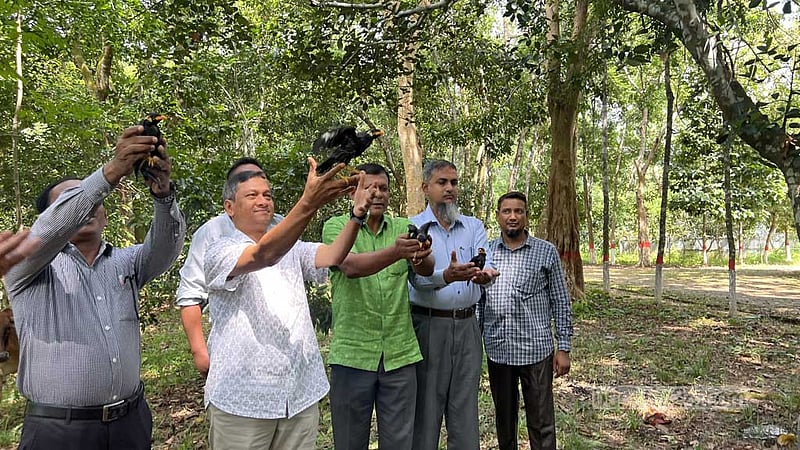 খাগড়াছড়িতে উদ্ধার হওয়া ৬ পাহাড়ি ময়না অবমুক্ত