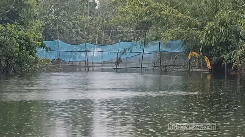 কুড়িগ্রামে বানের পানিতে ভেসে গেছে ৪ কোটি ৫৮ লাখ টাকার মাছ