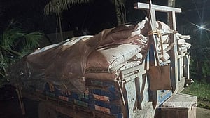 কুড়িগ্রামে ১৮১ বস্তা ভারতীয় চিনি জব্দ