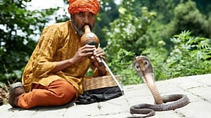 বরেন্দ্র অঞ্চলের সাপের সামাজিক ইতিহাস