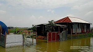 টাঙ্গাইলে অর্ধ লাখের বেশি মানুষ এখনও পানিবন্দি