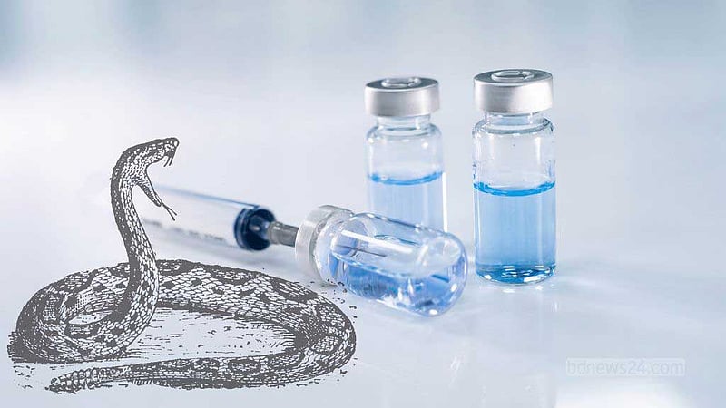 সাপে কামড়ায় গ্রামে, প্রতিষেধক থাকে শহরে