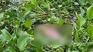বরিশালে খাল থেকে অজ্ঞাত ব্যক্তির গলিত লাশ উদ্ধার