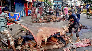 চট্টগ্রামে গরুর চামড়া ৫০০-৭০০ টাকায় বিক্রি