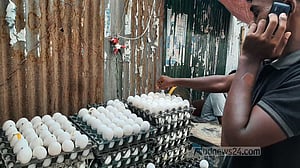 ডিমের বাজার ফের অস্থির, ‘দামের এসএমএস’ এখনও