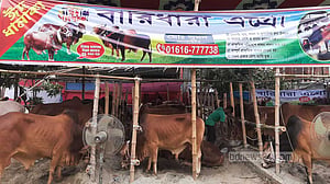 বেচাকেনা শুরু, জমার অপেক্ষায় ঢাকার পশুর হাট