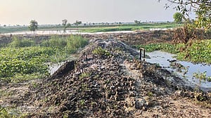 খালে বাঁধ দিয়ে মাছ চাষ: কৃষিকাজ ব্যাহত, বিপাকে জেলেরাও