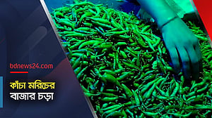 কাঁচা মরিচের দামে ঝাঁঝ, কমেছে ক্রেতা