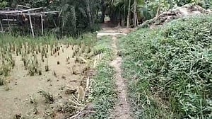 রাস্তা কেটে পুকুর খনন, অর্ধশতাধিক পরিবার দুর্ভোগে