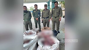 সুন্দরবন থেকে ১৩২ কেজি হরিণের মাংস জব্দ