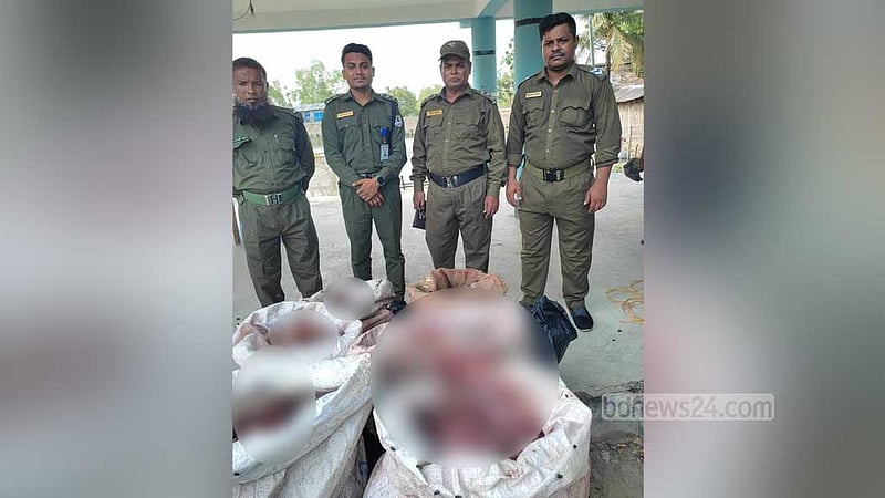 সুন্দরবন থেকে ১৩২ কেজি হরিণের মাংস জব্দ