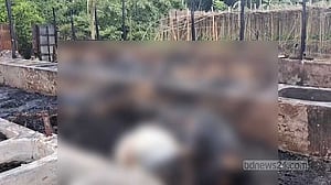 মাদারীপুরে কোরবানির আগে পুড়ল ১৩ গরু ও ২ হাজার মুরগি