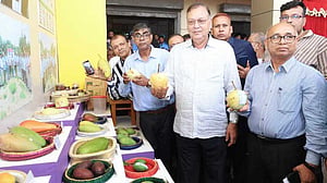 আম রপ্তানি শুরু, লক্ষ্য এবার ৩১০০ টন