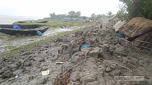 উপকূলজুড়ে বেড়িবাঁধের জন্য হাহাকার