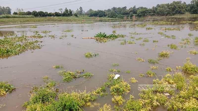 নওগাঁর ধামইরহাটে নিখোঁজ শিশুর লাশ মিলল বদলগাছীর নদীতে