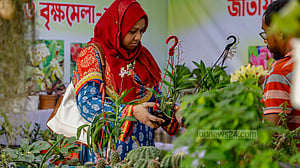 জাতীয় বৃক্ষ মেলা ২০২৪