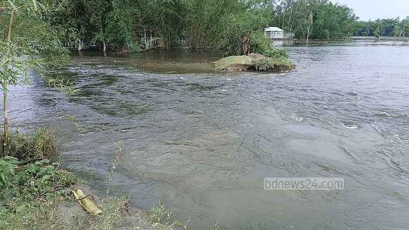 বুড়িতিস্তার বাঁধ ভেঙে দুই শতাধিক পরিবার পানিবন্দি, তলিয়েছে ফসল