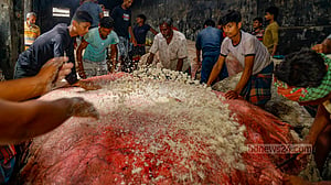 পোস্তায় চামড়া সংরক্ষণের ব্যস্ততা