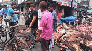 ট্যানারিতে কাঁচা চামড়া কেনা বেড়েছে