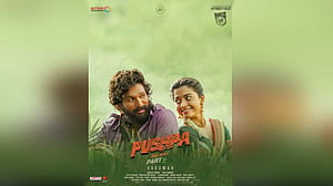 সাড়া তুলেছে ‘পুষ্পা টু’ সিনেমার বাংলা গান