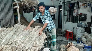 কোরবানি: ভুসি-খড় বেচে অর্ধ লাখ আয়ের আশায় আলমগীররা
