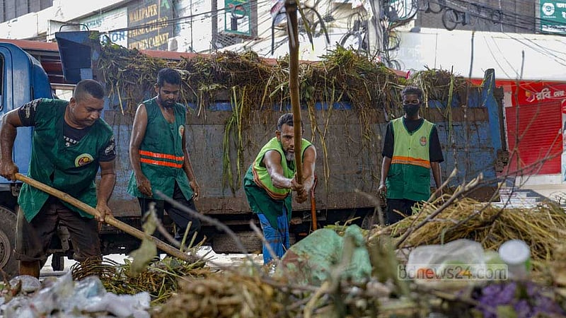 কোরবানির পশুর বর্জ্য: ৫ ঘণ্টায় সাফ দুই সিটির ‘অধিকাংশ ওয়ার্ড’