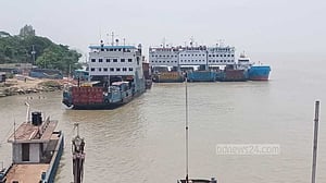 পশুর ট্রাক দৌলতদিয়া ঘাটে আসা মাত্রই পার