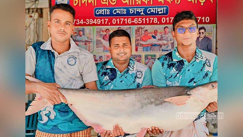 পদ্মার এক পাঙ্গাসের দাম ৩২ হাজার টাকা