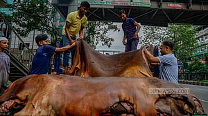 দিনভর কোরবানির পশুর চামড়া সংগ্রহ, হাতবদলও
