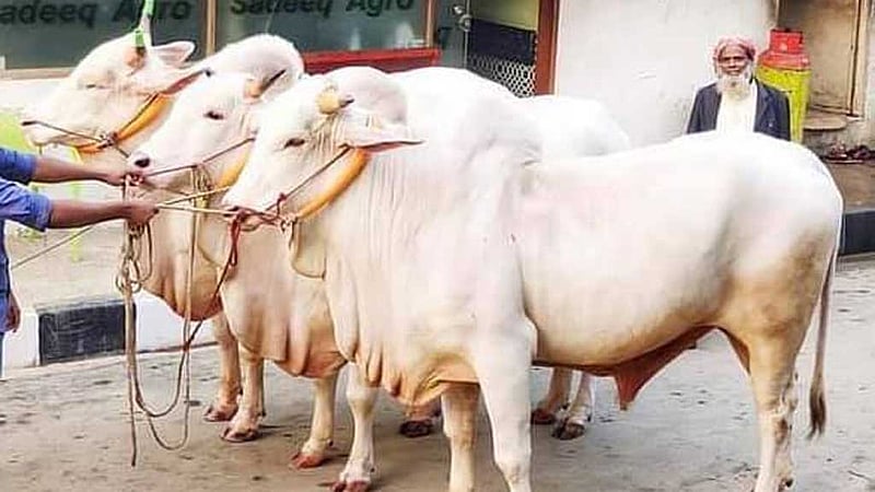 ‘খাল দখল’: সাদিক অ্যাগ্রোতে অভিযানে যাচ্ছে ডিএনসিসি